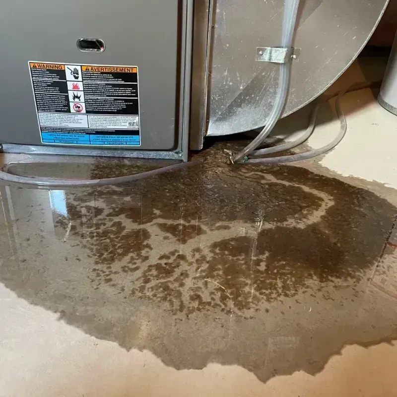 Appliance Leak Cleanup in Bottineau, ND